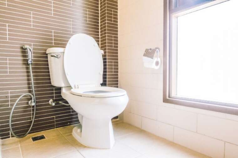 What Drain Cleaner Is Safe For Toilets