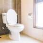 What Drain Cleaner Is Safe For Toilets